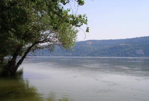 Read more about the article România autorizează intrarea pe Dunăre a 30 de nave comerciale din Ucraina