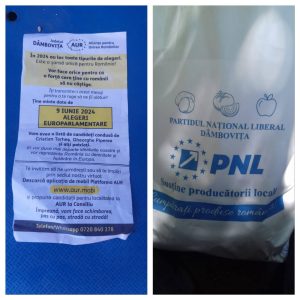 Read more about the article PSD Dâmbovița, la adresa PNL și AUR: Nu existați! Nu aveți proiecte, idei, nu aduceți plus valoare acestui județ! Doar cartofi la plasă și vorbe în vânt!