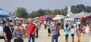 Read more about the article Participare numeroasă și la această ediție a Târgului de la Titu
