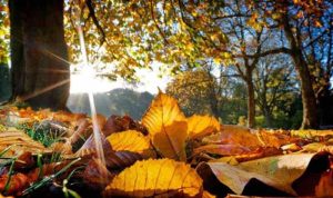 Read more about the article ANM: URMEAZĂ UN WEEKEND CU TEMPERATURI RIDICATE