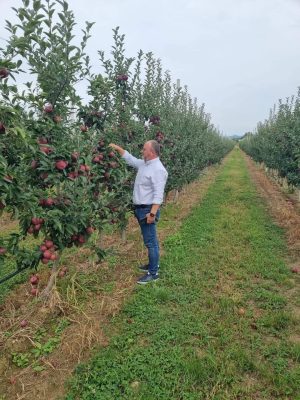 Read more about the article Director Direcția Agricolă Dâmbovița: Dacă aveți ocazia, vă recomand să faceți o vizită pe Valea Dâmboviței, să vedeți și să gustați roadele minunate ale muncii pomicultorilor