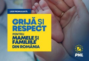 Read more about the article PNL Dâmbovița: femeile însărcinate și persoanele însoţite de copii cu vârsta de până la 5 ani vor avea prioritate la casierii și ghișee