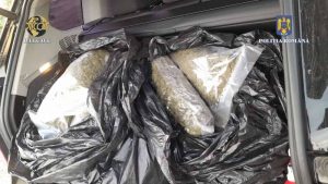 Read more about the article Zece persoane au fost reţinute pentru trafic de droguri de risc şi de mare risc, în judeţul Dâmboviţa