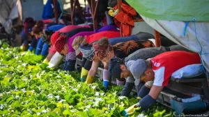 Read more about the article Radu Popa: Plecarea la muncă în străinătate nu aduce, obligatoriu, bani mai mulți, la sfârșitul lunii