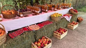 Read more about the article Festivalul Fructelor de la Oncești a prezentat o nouă poveste de succes, scrisă de un producător local, „Livada lui Boris”