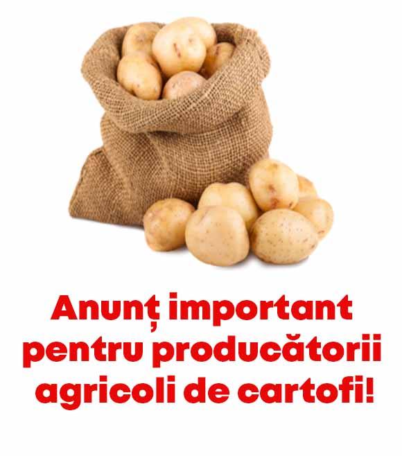 You are currently viewing Anunț important pentru producătorii de cartofi