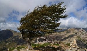Read more about the article Zona montană dâmbovițeană, sub avertizare Cod Galben de vânt