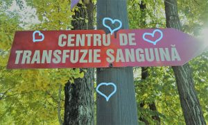 Read more about the article Centrul de Transfuzie Târgoviște: Suntem surprinși de numărul mare de persoane care doresc să doneze sânge