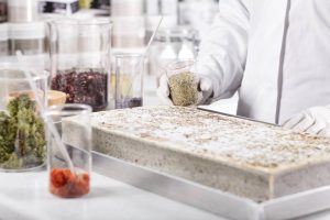 Read more about the article Italia, prima țară din UE care interzice producţia şi comercializarea alimentelor sintetice