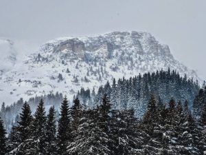 Read more about the article Cod Galben valabil, în ziua de Crăciun, în zona montană dâmbovițeană