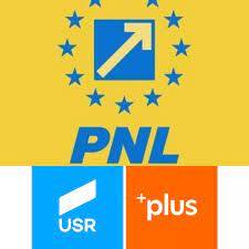 Read more about the article PNL Dâmbovița: USR îi folosește pe dâmbovițeni, pe post de scut, în jocurile politice murdare
