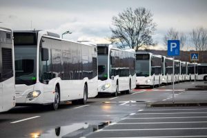Read more about the article Transportul public din Târgoviște, utilizat de peste 181.000 de călători în luna octombrie