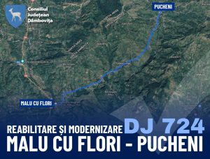 Read more about the article Start lucrărilor de reabilitare și modernizare a DJ 724 Malu cu Flori – Pucheni