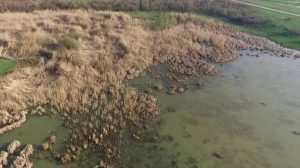 Read more about the article Administrația locală târgovișteană dorește amenajarea lacului Priseaca și transformarea acestuia într-o grădină publică