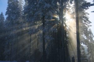 Read more about the article Iarna calendaristică se încheie cu temperaturi ridicate, în Muntenia