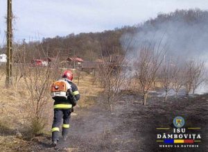 Read more about the article Incendii de vegetație la Bălteni, Voinești, Ocnița și Ludești. Pompierii au intervenit!