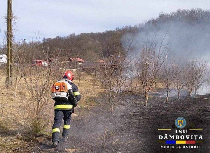 You are currently viewing Incendii de vegetație la Bălteni, Voinești, Ocnița și Ludești. Pompierii au intervenit!