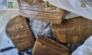 Read more about the article Aproape un kilogram de cocaină descoperit într-un autoturism, la intrarea în ţară prin Punctul de Trecere a Frontierei Giurgiu
