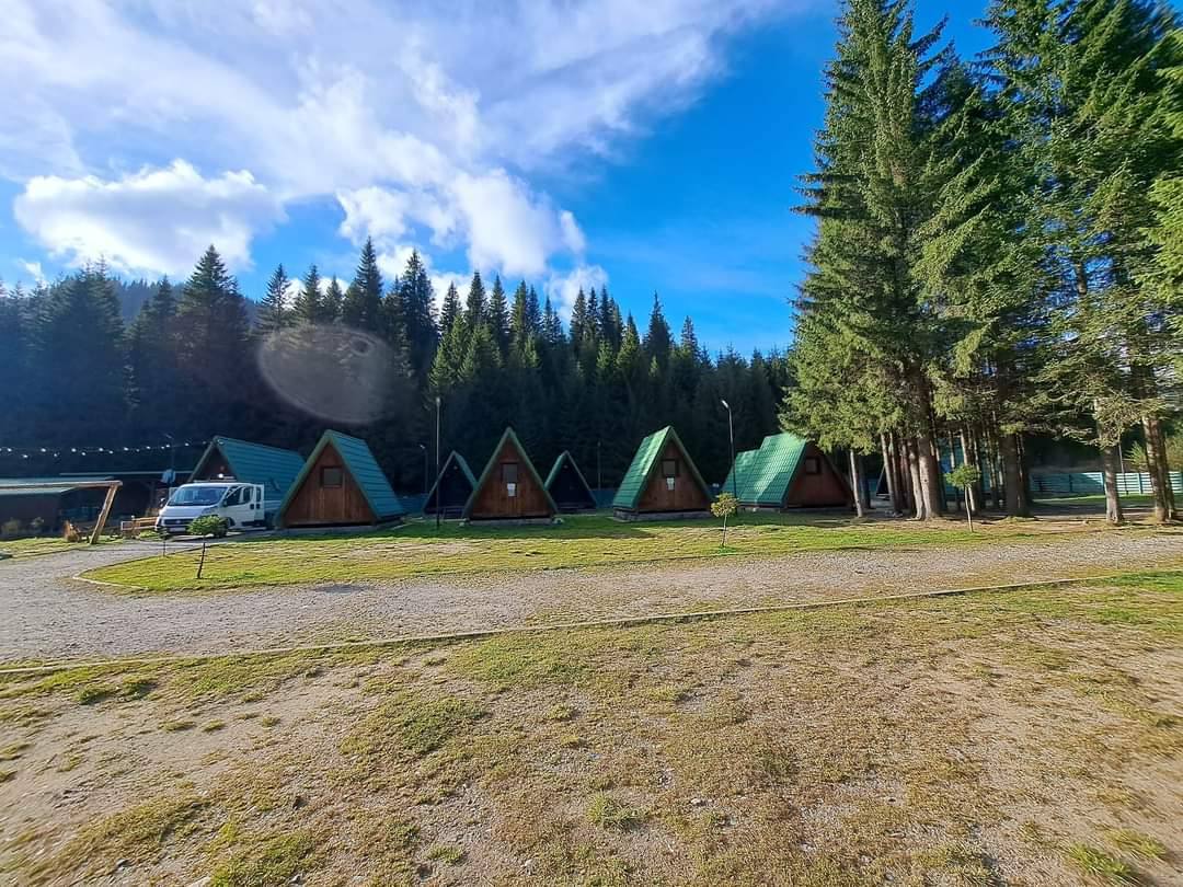 You are currently viewing Căutați un loc plin de liniște și relaxare? Camping Zănoaga din Bucegi vă așteaptă!