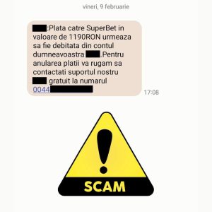 Read more about the article Atenție la infractorii cibernetici care trimit mesaje de tip SMishing