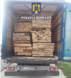 Read more about the article BĂLENI SÂRBI: Un șofer de tir care transporta mai multă cherestea decât era scris în aviz, a fost amendat!
