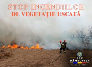 Read more about the article Un nou apel al pompierilor dâmbovițeni, după noi intervenții la incendii provocate de neglijență: NU IGIENIZAȚI TERENURILE PRIN INCENDIERE!