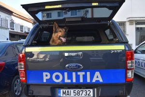 Read more about the article Aproape 200 de petiții, primite de Poliția Animalelor, anul trecut, în județul Dâmbovița