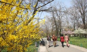Read more about the article ANM anunță vreme caldă până la jumătatea lunii martie