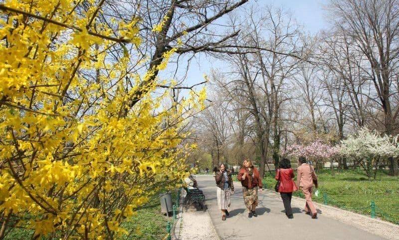 You are currently viewing ANM anunță vreme caldă până la jumătatea lunii martie