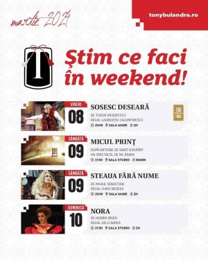 Read more about the article Spectacole de excepție cu ocazia Zilei Femeii, la Teatrul Tony Bulandra