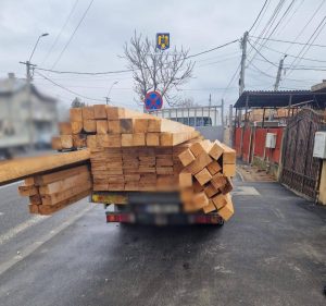 Read more about the article Târgoviștean depistat în trafic cu peste 4 metri cubi de cherestea pentru care nu deținea documente