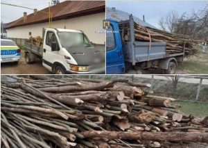 Read more about the article Mai multe persoane din Ludești, Găești și Târgoviște, care transportau ilegal material lemnos, au fost sancționate!