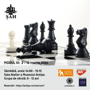 Read more about the article Muzeul Antipa din București vă invită la atelierele de șah