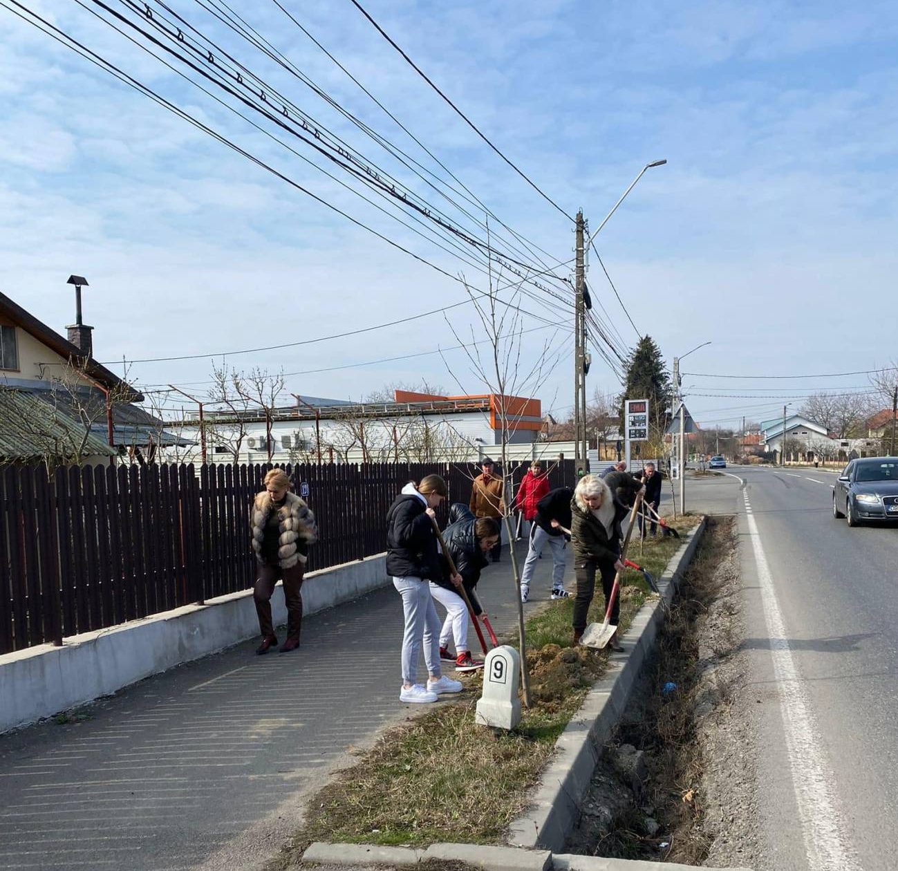 You are currently viewing Acțiune de plantare, în weekend, la Găești