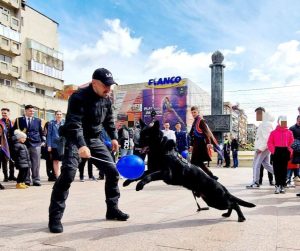 Read more about the article Polițiștii dâmbovițeni și-au sărbătorit ziua în mijlocul cetățenilor