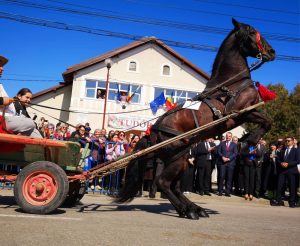 Read more about the article Tudorița le-a oferit târgoviștenilor și anul acesta un spectacol unic în România