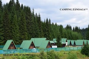 Read more about the article Din data de 1 mai 2024, se redeschide Camping Zănoaga din Bucegi!