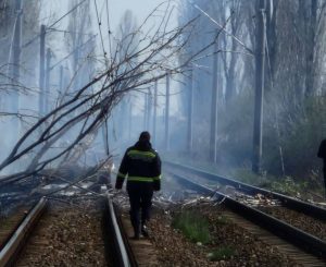 Read more about the article Mai multe trenuri de călători au rămas blocate lângă Ploiești, după ce un copac a căzut pe linie