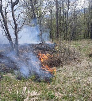 Read more about the article Primăria Fieni: Fiți responsabili! Stop incendiilor de vegetație uscată!