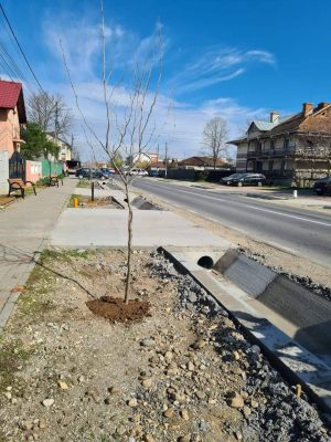 Read more about the article Lucrări importante pentru comunitatea locală, în implementare, la Petrești