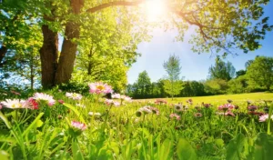 Read more about the article ANM anunță vreme în încălzire, pentru următoarele două săptămâni, în Muntenia