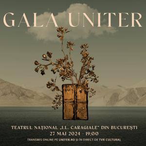 Read more about the article Lista completă a câștigătorilor premiilor UNITER