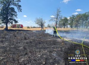 Read more about the article Incendiu puternic de vegetație uscată, în localitatea Fierbinți