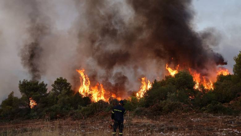 You are currently viewing Pompierii greci se luptă pentru stingerea unui incendiu imens de pădure, la nord de Atena