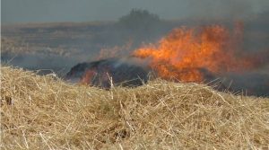 Read more about the article Incendiu puternic la o cultură de orz, în comuna Tărtășești!