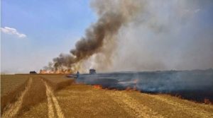 Read more about the article Un lan de grâu a fost mistuit de flăcări, la Bălteni!