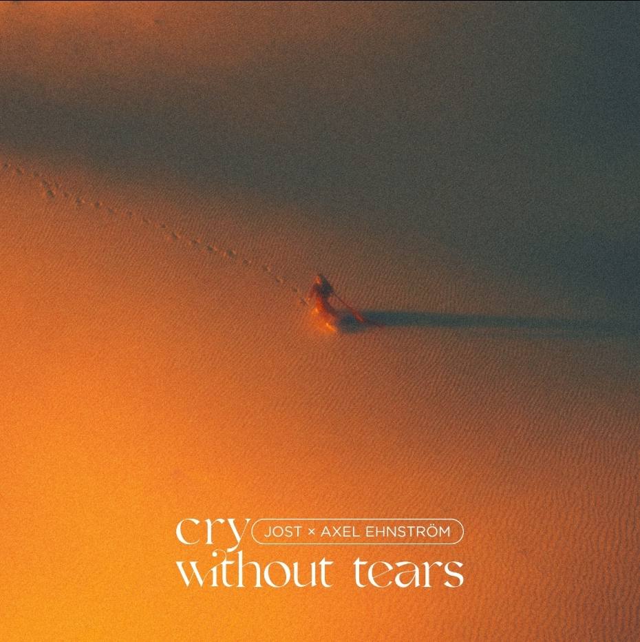 You are currently viewing Despre trăirile interioare în “Cry Without Tears” – Jost x Axel Ehnstrom
