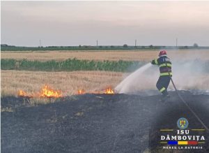 Read more about the article Incendiu de vegetație la Broșteni – Dâmbovița! Pompierii au intervenit!