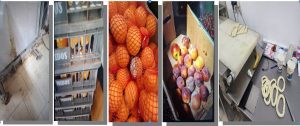 Read more about the article Val de amenzi aplicat de inspectorii DSVSA Dâmbovița la unitățile care procesează, depozitează și valorifică produse de origine nonanimală