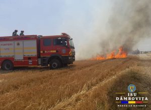 Read more about the article Incendii de vegetație la Scheiu de Sus, Bălteni și Colacu! Pompierii au intervenit!